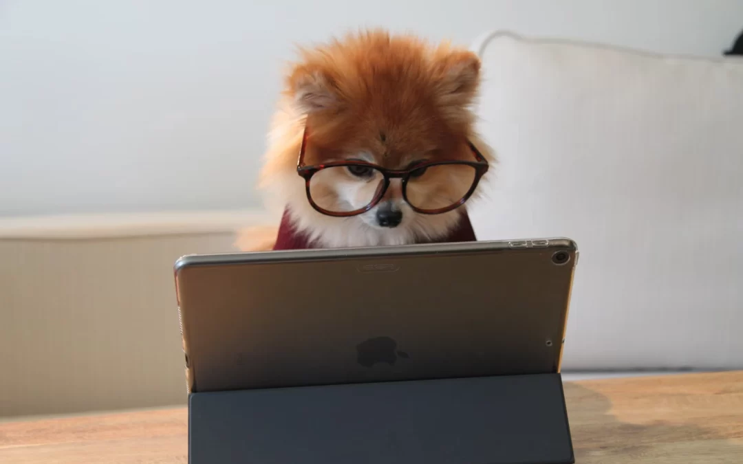 6 Must Have Skills for a Great Customer Success Manager